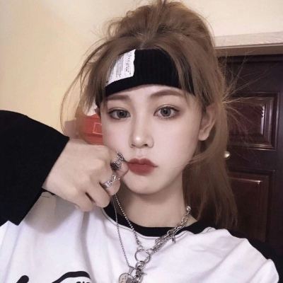 口袋暴龙小米版下载